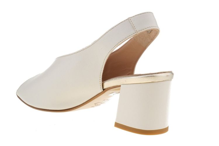 CINZIA VALLE Fashion That Fits (10136 ) - Schoenen Danneels (Brugge)