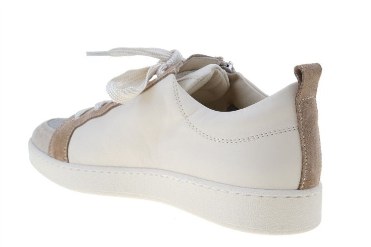 DL Sport Fashion That Fits (6911 SHEER) - Schoenen Danneels (Brugge)