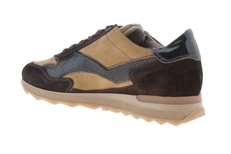 DL Sport Fashion That Fits (7140 CACAO) - Schoenen Danneels (Brugge)