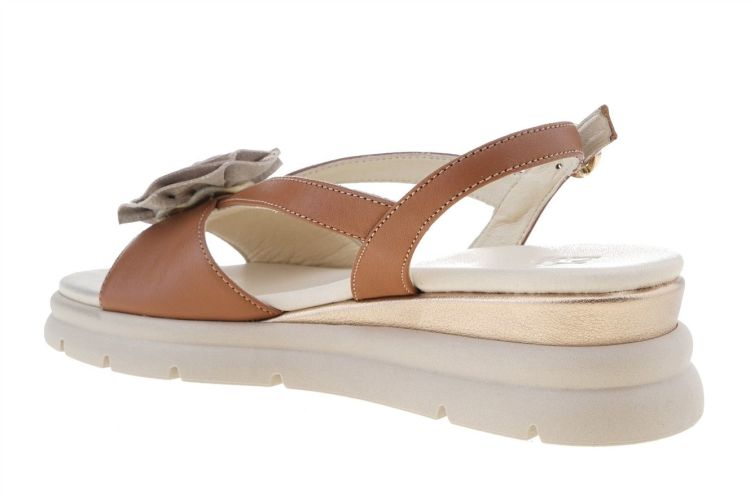 DL Sport Fashion That Fits (7045 CUOIO) - Schoenen Danneels (Brugge)