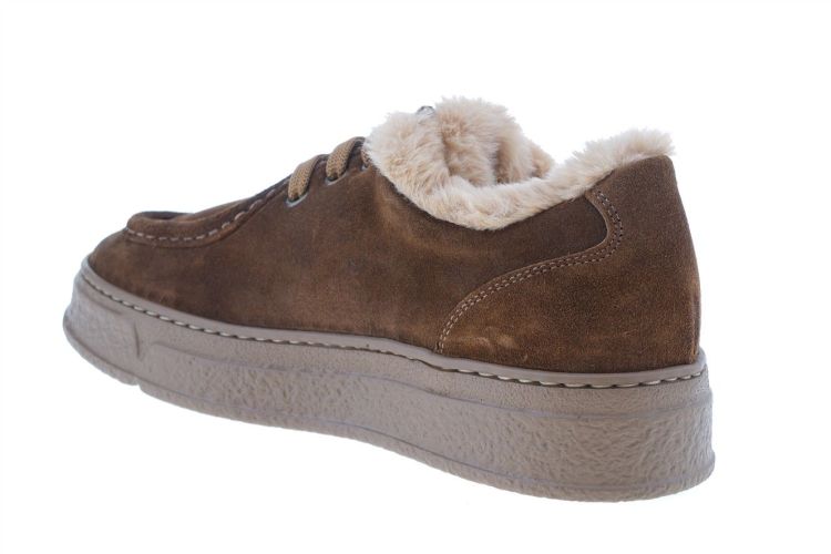 DL Sport Fashion That Fits (7110 BRUCIATO) - Schoenen Danneels (Brugge)