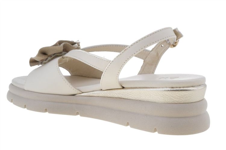 DL Sport Fashion That Fits (7045 PANNA) - Schoenen Danneels (Brugge)