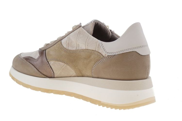 DL Sport LOS VOETBED (6340 TASSO) - Schoenen Danneels (Brugge)