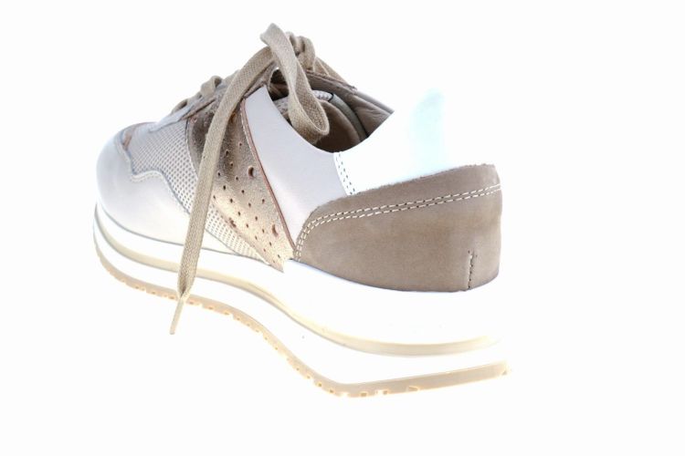 DL Sport LOS VOETBED (5053 LATTE) - Schoenen Danneels (Brugge)