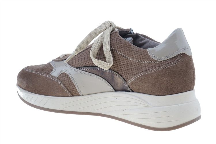 DL Sport Wellness Technology (7131HK SHORE) - Schoenen Danneels (Brugge)