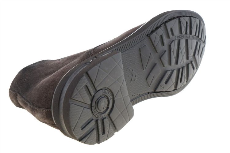 FLUCHOS Belgas (0772 CAFE) - Schoenen Danneels (Brugge)