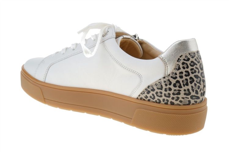 Ganter Helena (204323-0679) - Schoenen Danneels (Brugge)