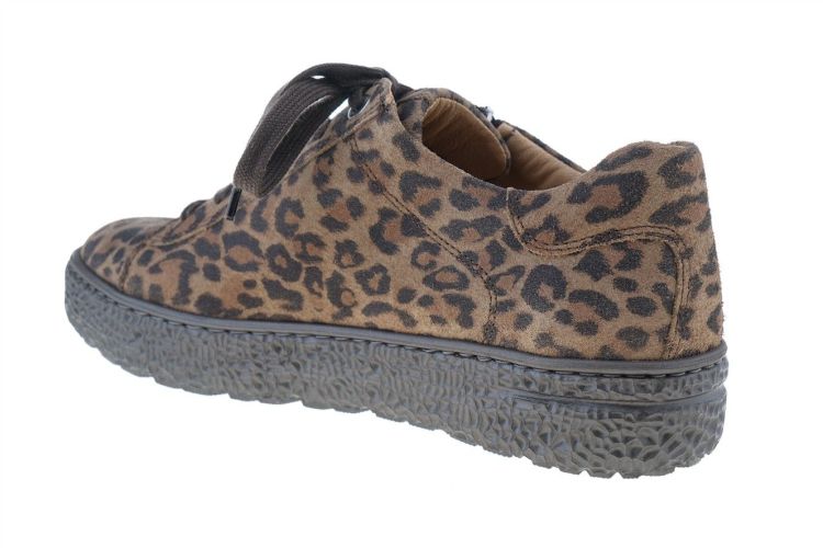 HARTJES Phil Shoe (162.1401/40 52.00) - Schoenen Danneels (Brugge)