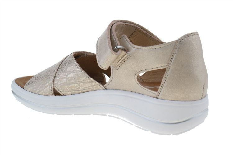 HARTJES Pop Sandale (132.2101/41 40.40) - Schoenen Danneels (Brugge)