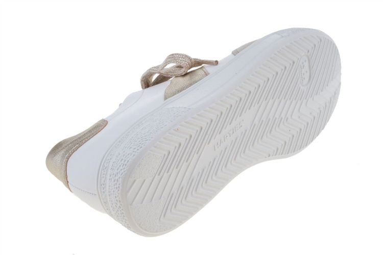 HARTJES Sophie Shoe (162.2702/31 32.02) - Schoenen Danneels (Brugge)