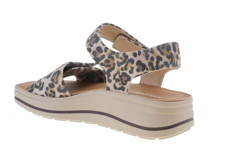 HARTJES Woogie (132.2002/40 52.00) - Schoenen Danneels (Brugge)