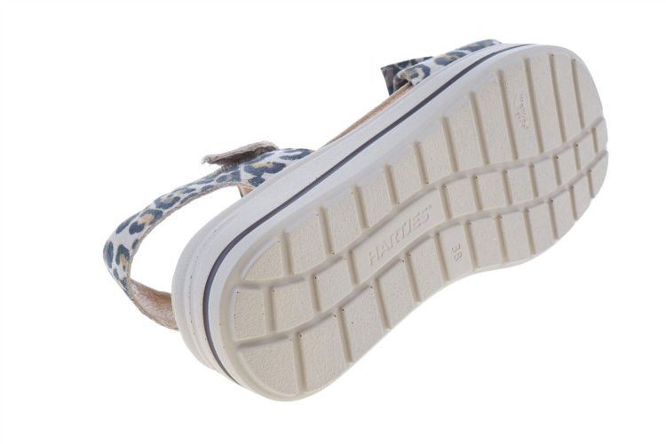 HARTJES Woogie (132.2002/40 52.00) - Schoenen Danneels (Brugge)