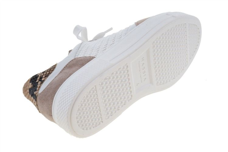 HASSIA Asti (301038-0213) - Schoenen Danneels (Brugge)