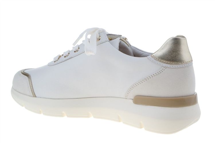 HASSIA Bordeaux (301350-0275) - Schoenen Danneels (Brugge)