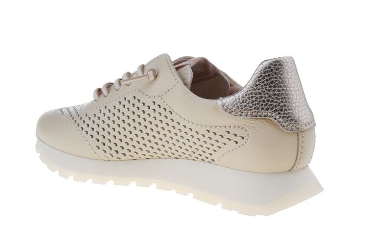 HISPANITAS Fashion That Fits (CHV264559 BUTTER) - Schoenen Danneels (Brugge)