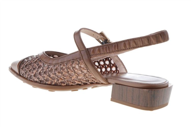 HISPANITAS Fashion That Fits (RHV264859 AVELLANA) - Schoenen Danneels (Brugge)