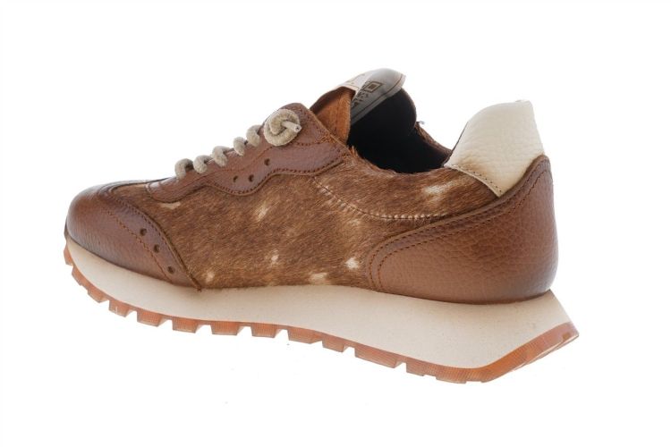 HISPANITAS Fashion That Fits (HI265106 CUERO) - Schoenen Danneels (Brugge)