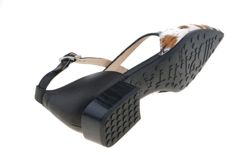 HISPANITAS Fashion That Fits (BHV264811 PONY) - Schoenen Danneels (Brugge)