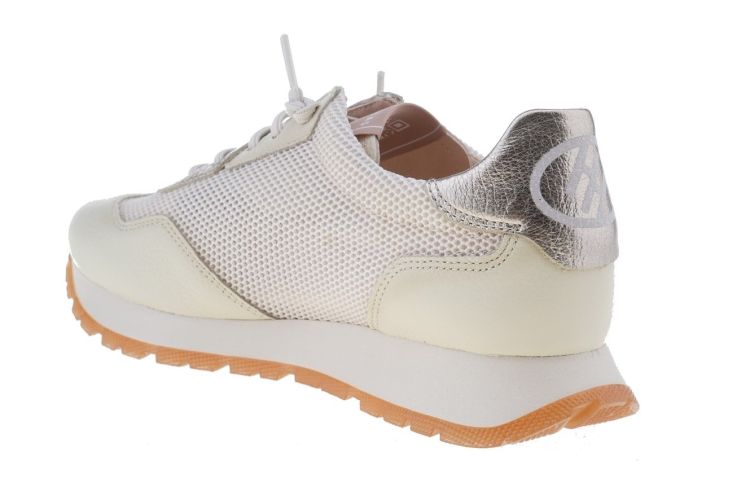 HISPANITAS Kansas (CHV253869 LATTE) - Schoenen Danneels (Brugge)