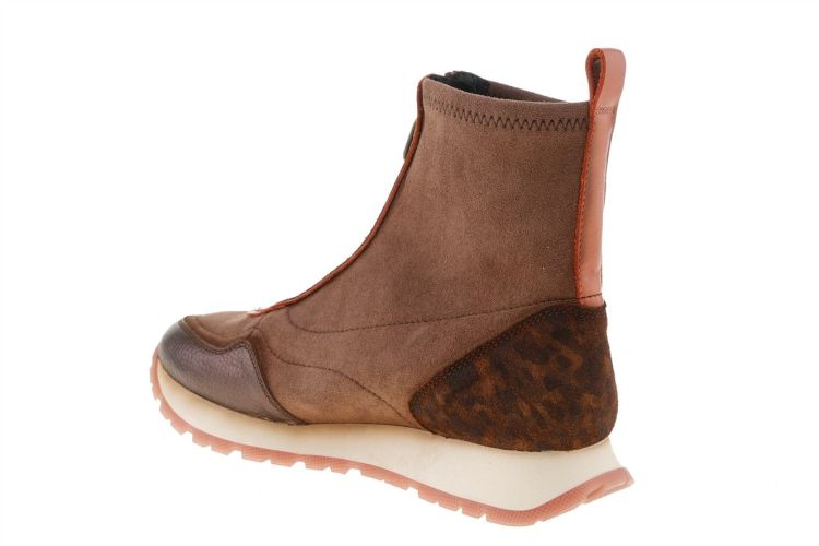 HISPANITAS Kansas (HI254354 AVELLANA) - Schoenen Danneels (Brugge)