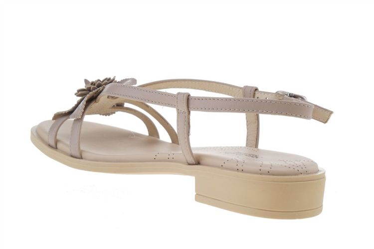 NERO GIARDINI Fashion That Fits (5901D 677) - Schoenen Danneels (Brugge)