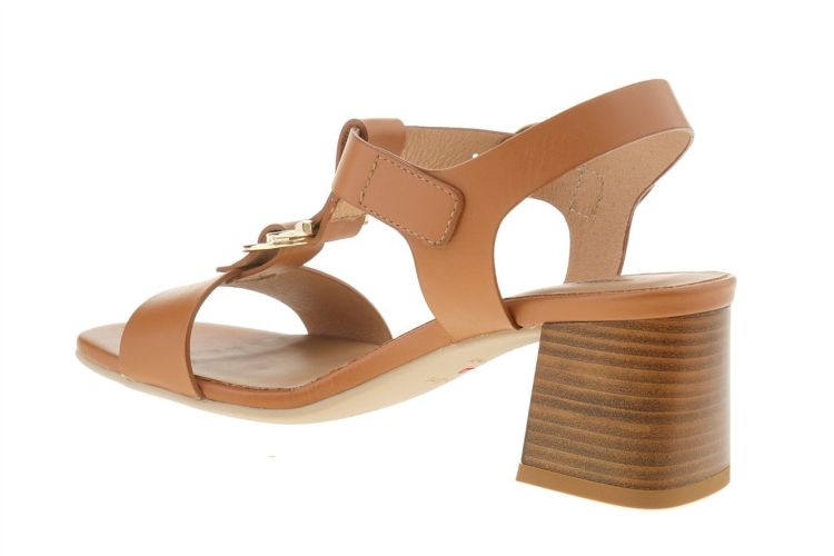 NERO GIARDINI Fashion That Fits (5870D 329) - Schoenen Danneels (Brugge)