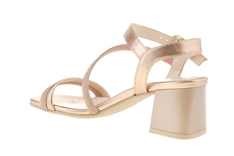 NERO GIARDINI Fashion That Fits (5721D 660) - Schoenen Danneels (Brugge)