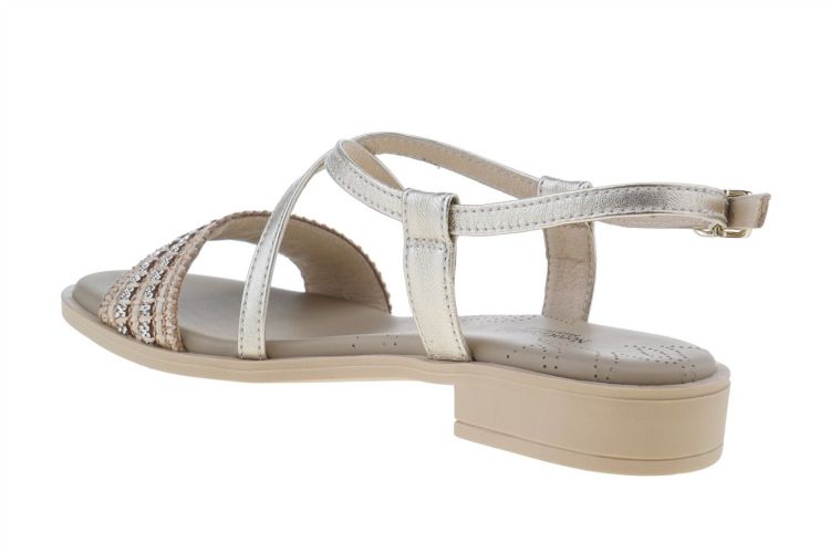 NERO GIARDINI Fashion That Fits (5900D 418) - Schoenen Danneels (Brugge)