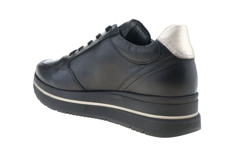 NERO GIARDINI Fashion That Fits (4100D 100) - Schoenen Danneels (Brugge)