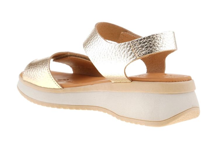 OH! MY SANDALS Fashion That Fits (5660 CHAMPAN) - Schoenen Danneels (Brugge)