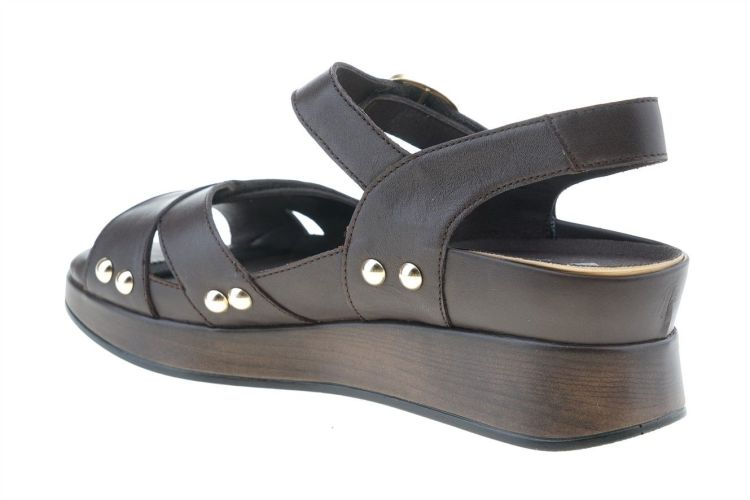 PIESANTO Fashion That Fits (260433 CAOBA) - Schoenen Danneels (Brugge)