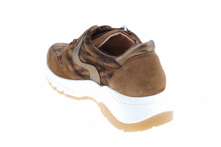PIESANTO Fashion That Fits (215726 CUERO) - Schoenen Danneels (Brugge)