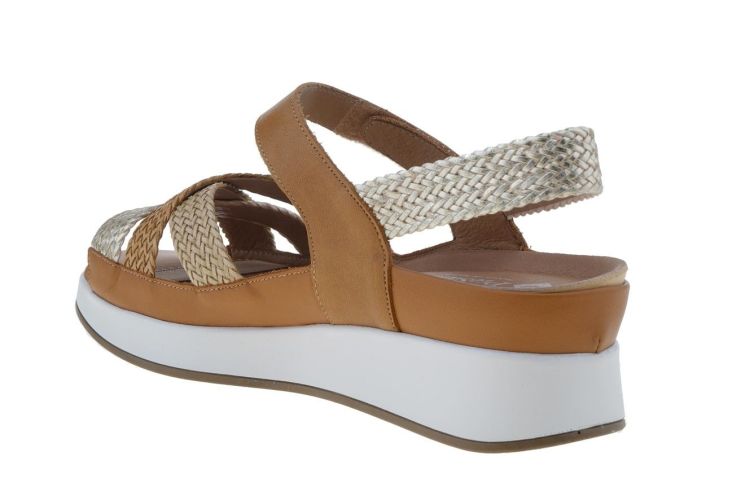 PIESANTO Fashion That Fits (250425 TRENZA VISON) - Schoenen Danneels (Brugge)