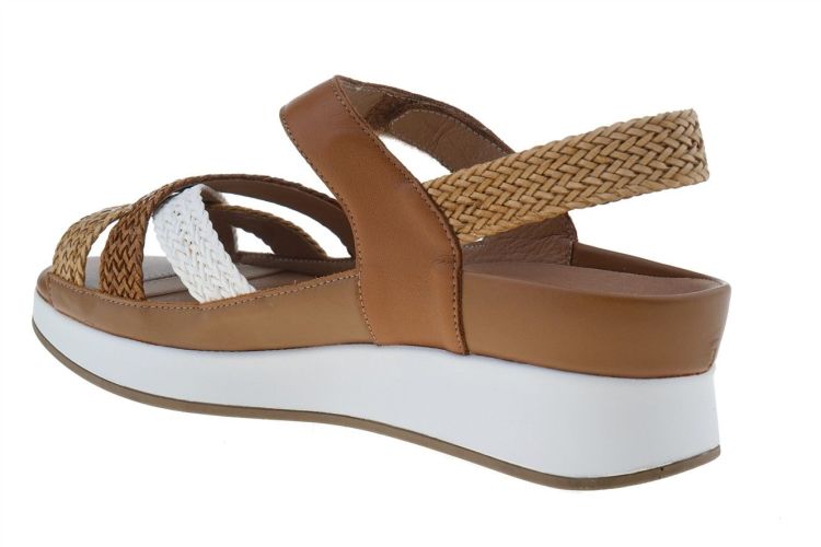 PIESANTO Fashion That Fits (260425-05 TRENZA TAN) - Schoenen Danneels (Brugge)