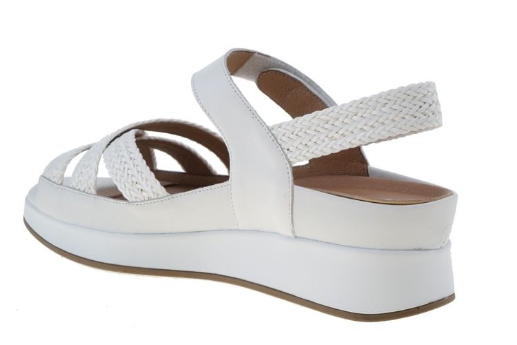 PIESANTO Fashion That Fits (260425 TRENZA BLANCO) - Schoenen Danneels (Brugge)