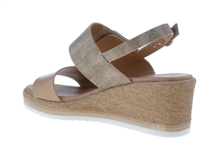 REPO Fashion That Fits (53289 TAUPE) - Schoenen Danneels (Brugge)