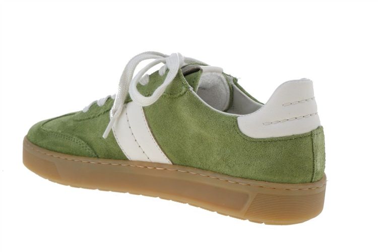 SIOUX Tedroso (41972 EVERGREEN/CALCE) - Schoenen Danneels (Brugge)