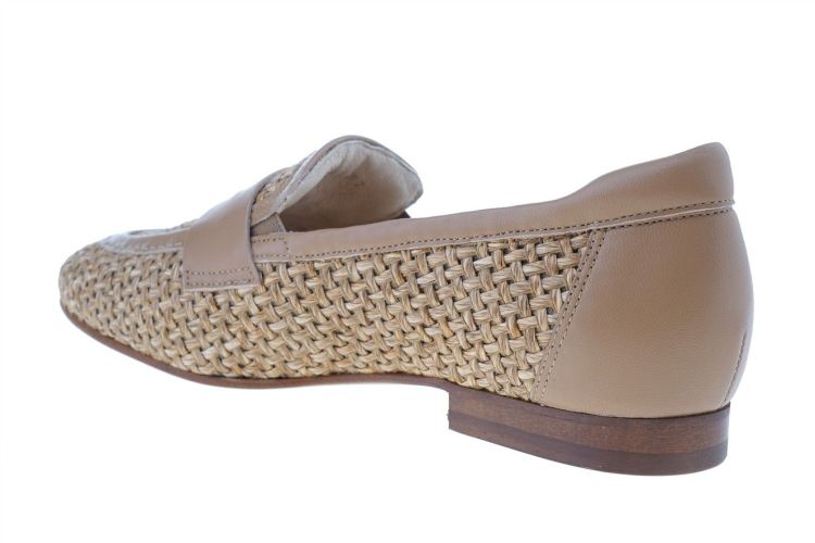 SOFTWAVES Sean (9.10.18 NOISETTE) - Schoenen Danneels (Brugge)