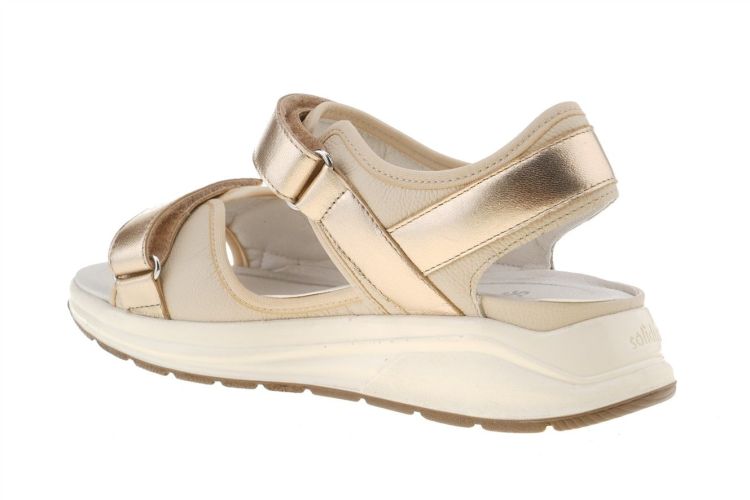 SOLIDUS Hetty (38047-40698) - Schoenen Danneels (Brugge)