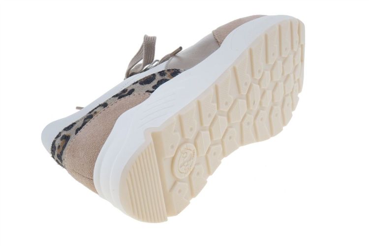 SOLIDUS Mia (43506-40696) - Schoenen Danneels (Brugge)