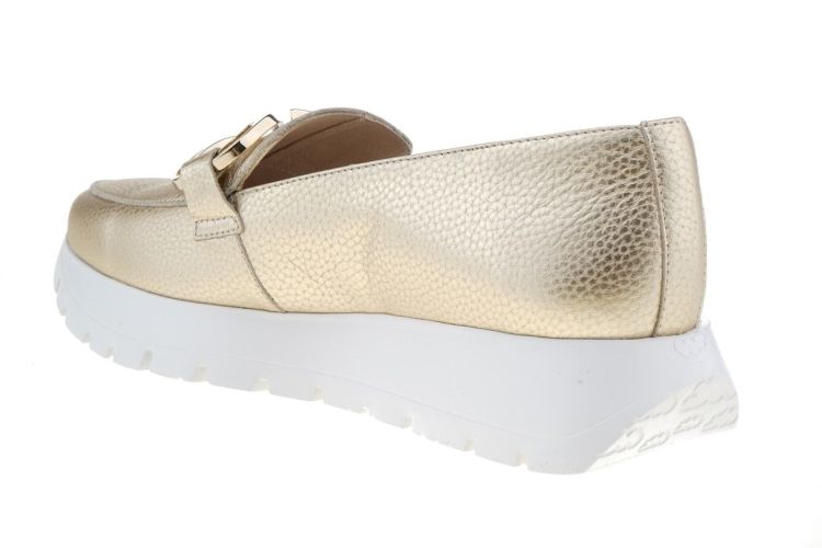 WONDERS Fashion That Fits (A-2462 PLATINO) - Schoenen Danneels (Brugge)