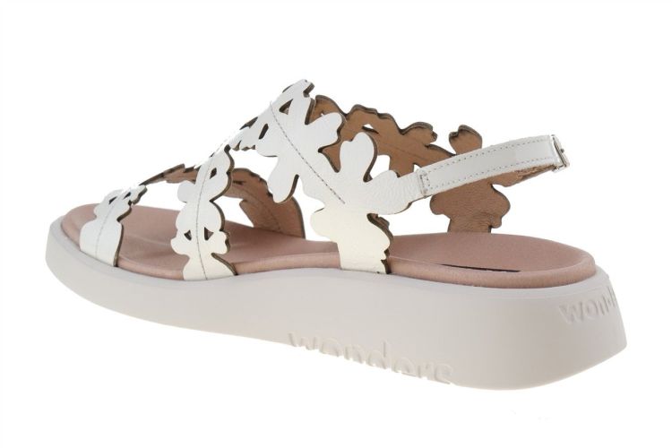 WONDERS Fashion That Fits (C-6551 OFF) - Schoenen Danneels (Brugge)