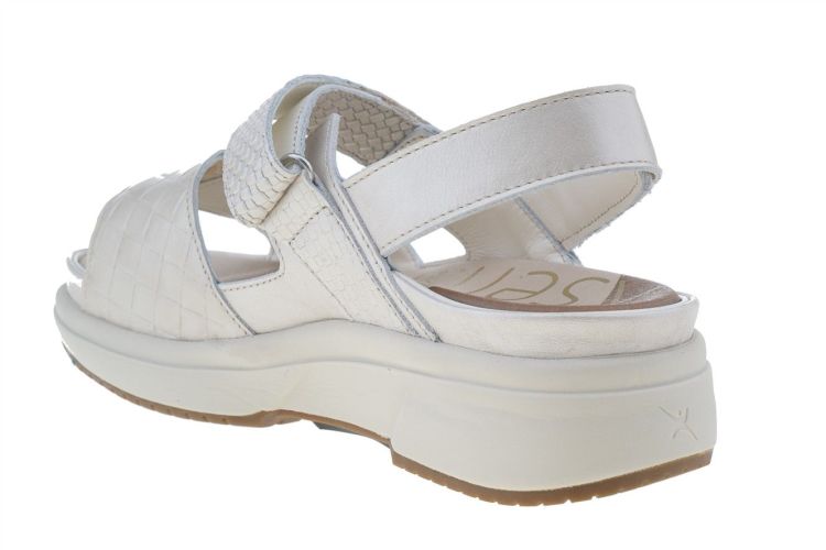 XSENSIBLE Aruba (30700.5.176) - Schoenen Danneels (Brugge)