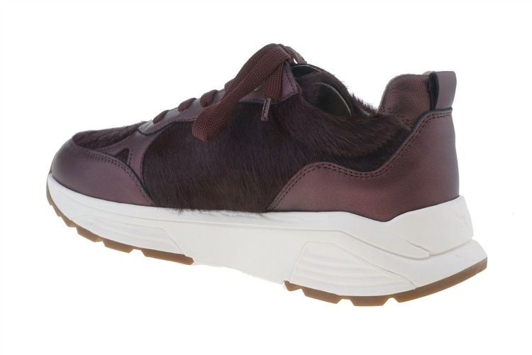 XSENSIBLE Chain (33009.4.729) - Schoenen Danneels (Brugge)