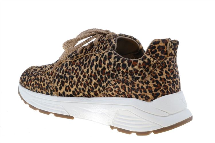 XSENSIBLE Chain (33009.4.625) - Schoenen Danneels (Brugge)