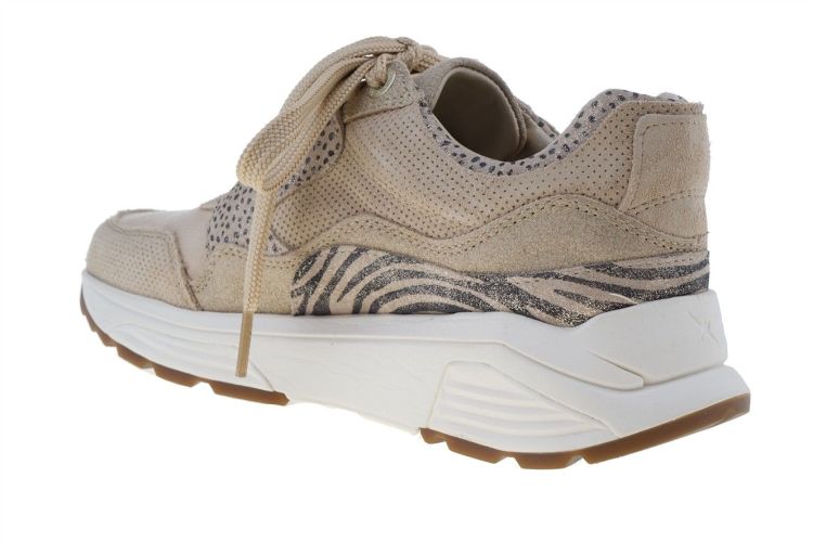 XSENSIBLE Golden Gate (33000.2.446) - Schoenen Danneels (Brugge)