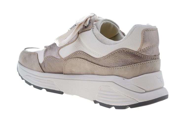 XSENSIBLE Golden Gate (33000.3.531) - Schoenen Danneels (Brugge)