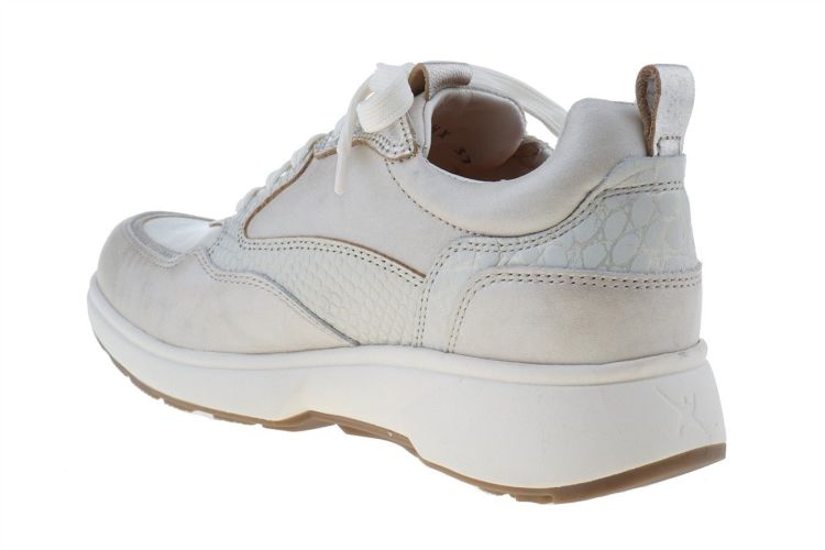 XSENSIBLE Grenoble (30215.3.176) - Schoenen Danneels (Brugge)