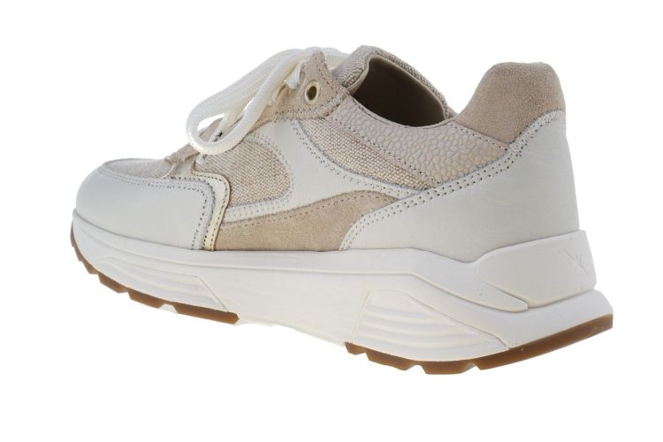 XSENSIBLE Ponte Vecchio (33002.5.157) - Schoenen Danneels (Brugge)