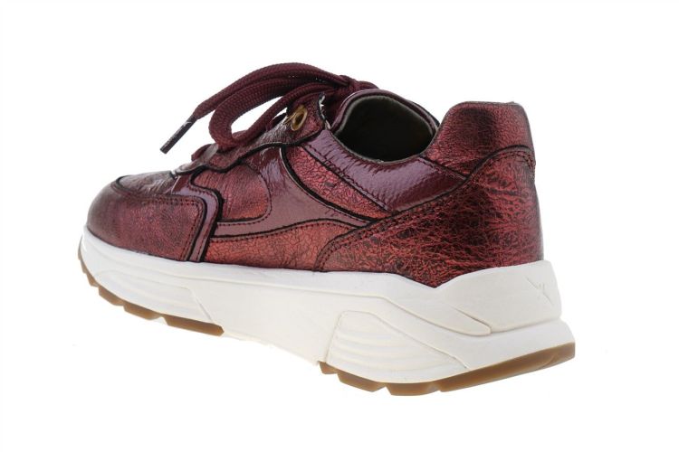 XSENSIBLE Ponte Vecchio (33002.4.730) - Schoenen Danneels (Brugge)